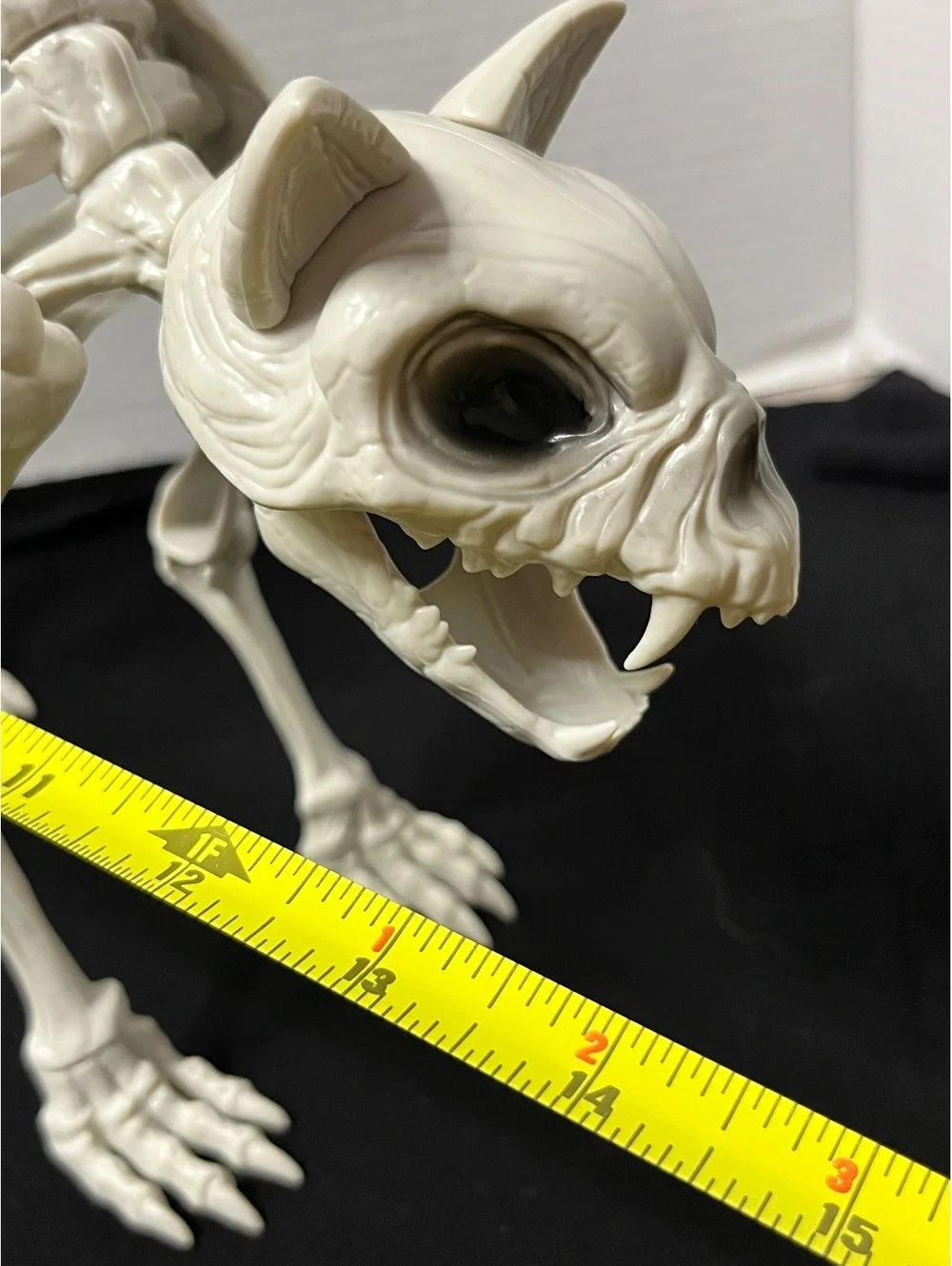 Spooky Cat Skeleton Decor - Perfect for Halloween Vibes